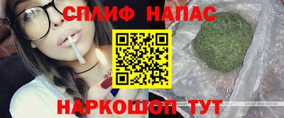 гидра Камышлов