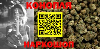 гидра Камышлов