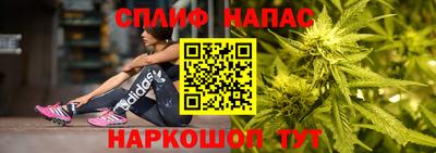 гидра Камышлов