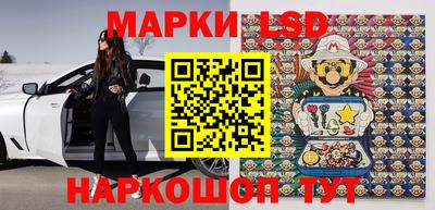 спиды Кингисепп