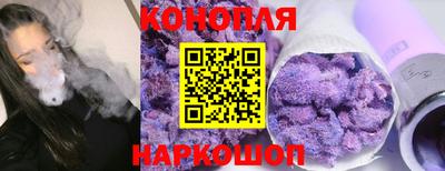 гидра Камышлов