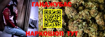 гидра Камышлов