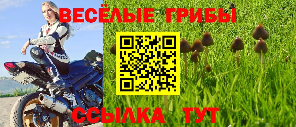 Коряжма  Псилоцибиновые грибы ЛСД  где купить наркотик  Вход с VPN 