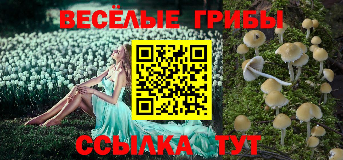 Псилоцибиновые грибы ЛСД Коряжма